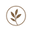 creationtropicales.com favicon