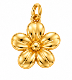 Charms/médaillon seul